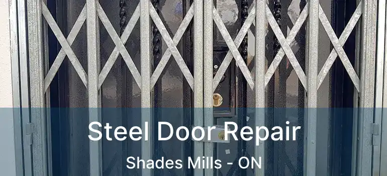  Steel Door Repair Shades Mills - ON