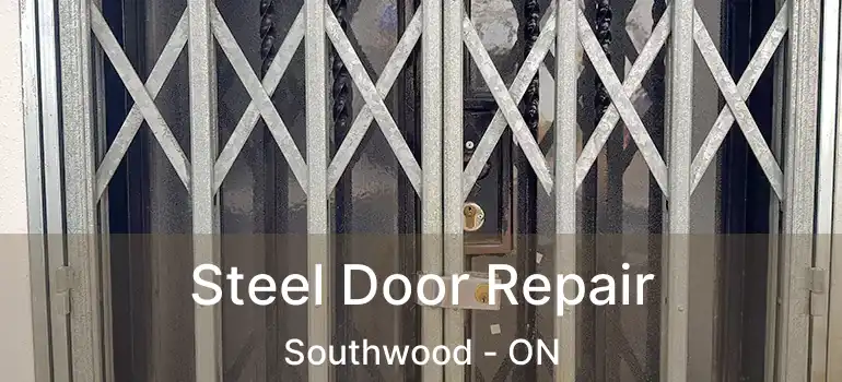  Steel Door Repair Southwood - ON