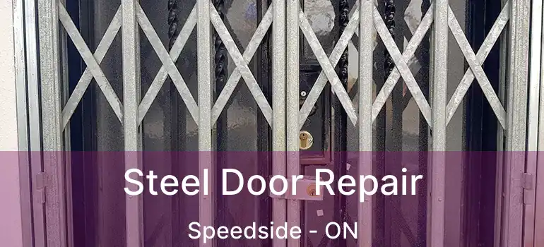  Steel Door Repair Speedside - ON