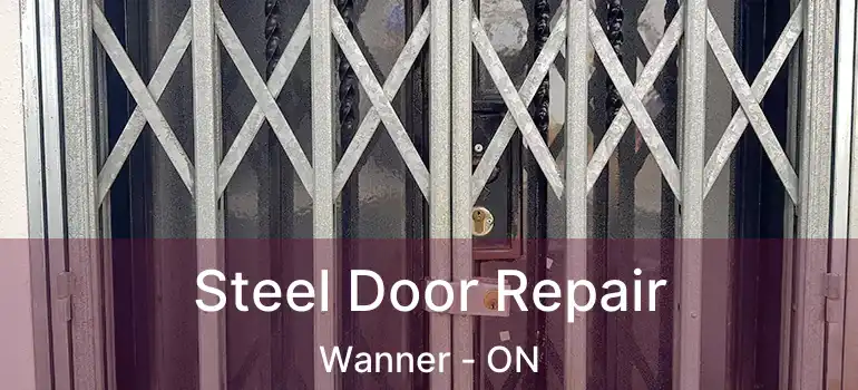  Steel Door Repair Wanner - ON
