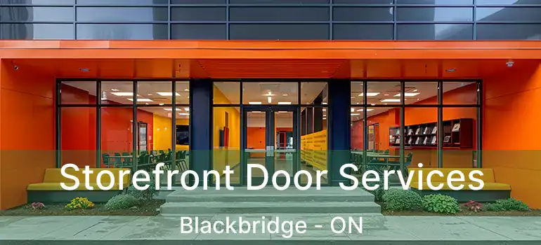  Storefront Door Services Blackbridge - ON