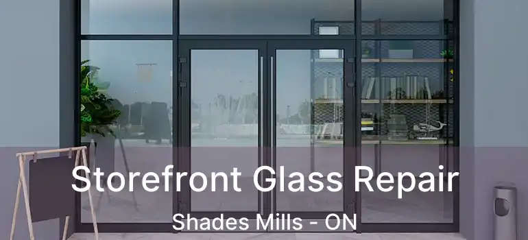  Storefront Glass Repair Shades Mills - ON