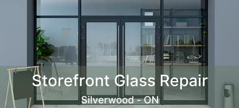  Storefront Glass Repair Silverwood - ON