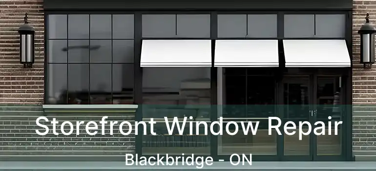  Storefront Window Repair Blackbridge - ON