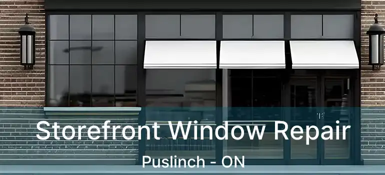  Storefront Window Repair Puslinch - ON
