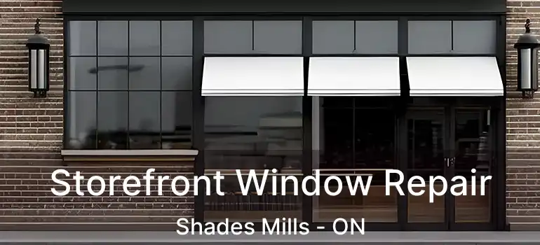  Storefront Window Repair Shades Mills - ON
