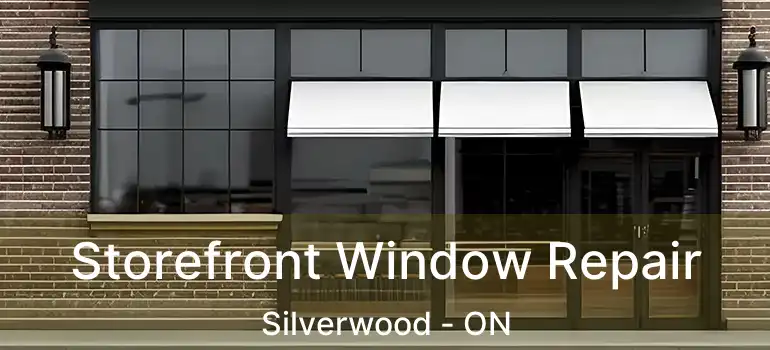  Storefront Window Repair Silverwood - ON