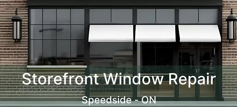  Storefront Window Repair Speedside - ON