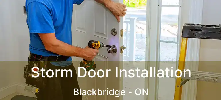  Storm Door Installation Blackbridge - ON