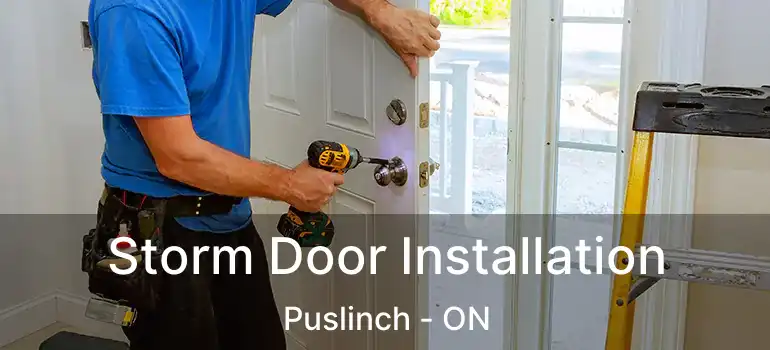  Storm Door Installation Puslinch - ON