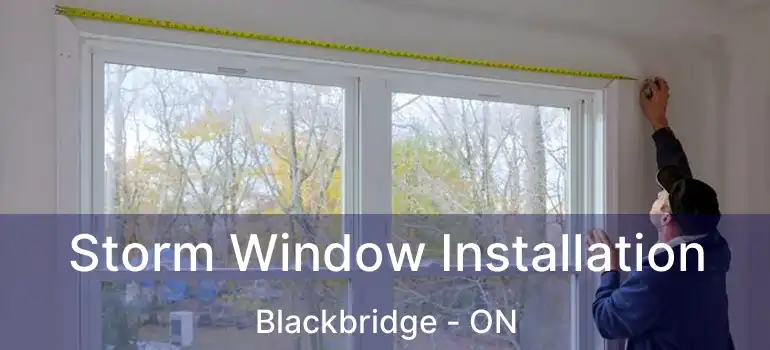 Storm Window Installation Blackbridge - ON