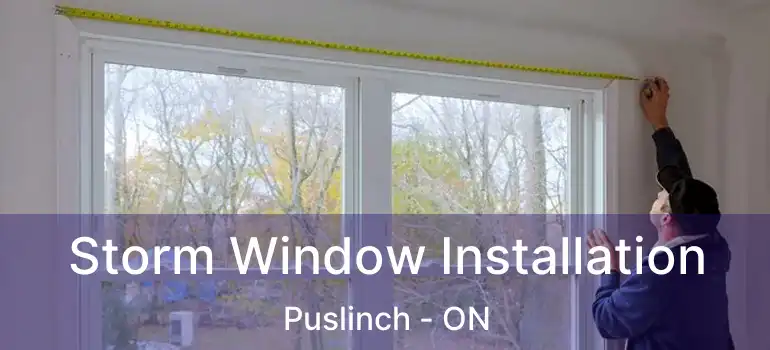 Storm Window Installation Puslinch - ON