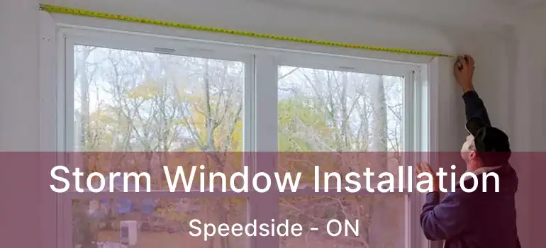  Storm Window Installation Speedside - ON
