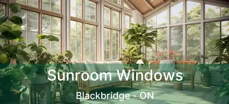  Sunroom Windows Blackbridge - ON
