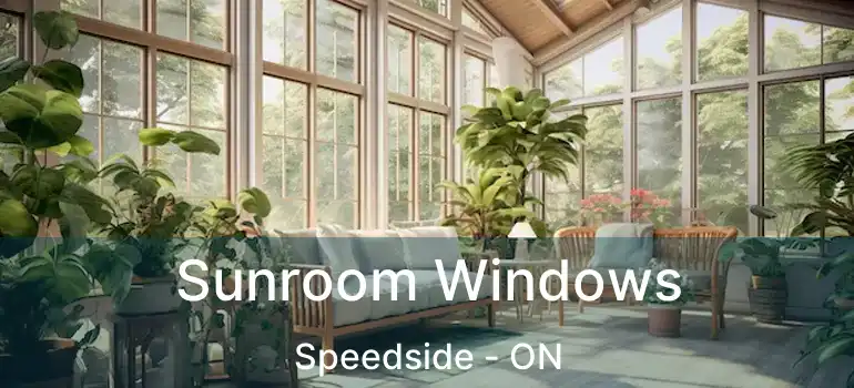  Sunroom Windows Speedside - ON