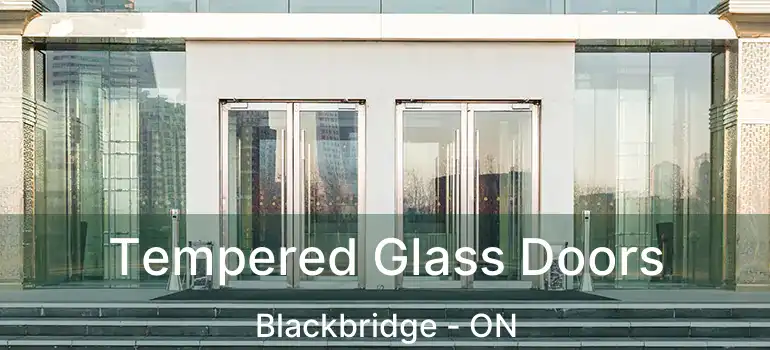  Tempered Glass Doors Blackbridge - ON