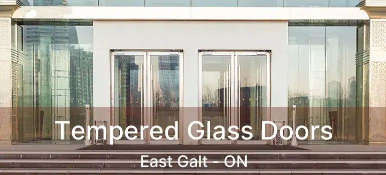  Tempered Glass Doors East Galt - ON