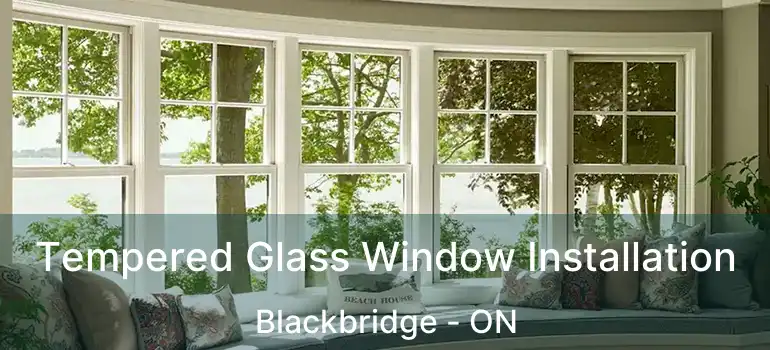  Tempered Glass Window Installation Blackbridge - ON
