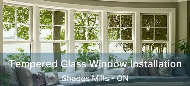  Tempered Glass Window Installation Shades Mills - ON
