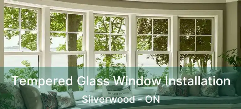  Tempered Glass Window Installation Silverwood - ON