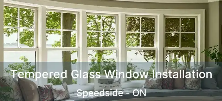  Tempered Glass Window Installation Speedside - ON
