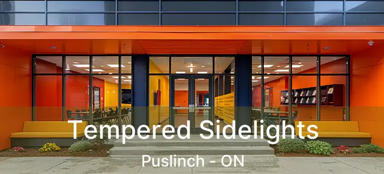  Tempered Sidelights Puslinch - ON