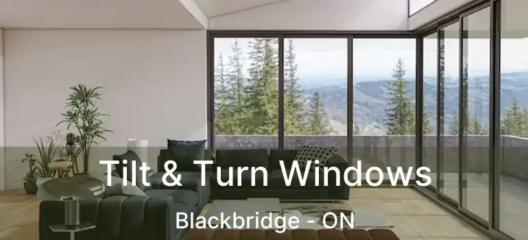  Tilt & Turn Windows Blackbridge - ON