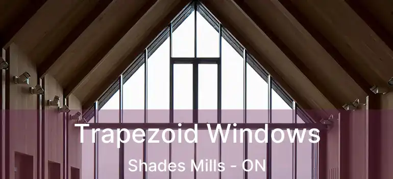  Trapezoid Windows Shades Mills - ON