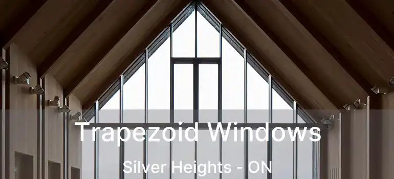  Trapezoid Windows Silver Heights - ON