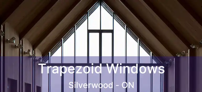  Trapezoid Windows Silverwood - ON