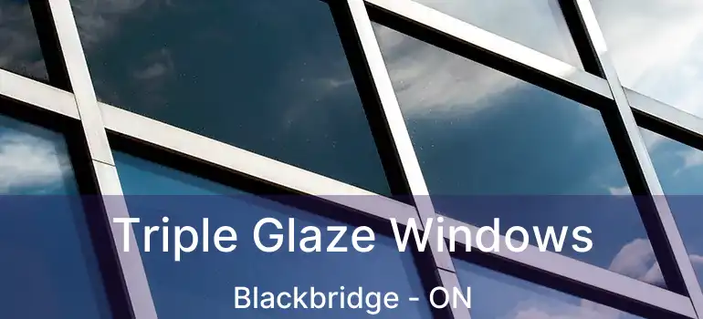  Triple Glaze Windows Blackbridge - ON