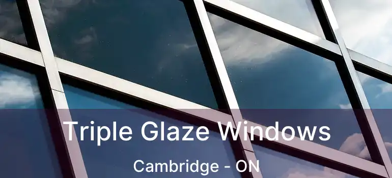  Triple Glaze Windows Cambridge - ON