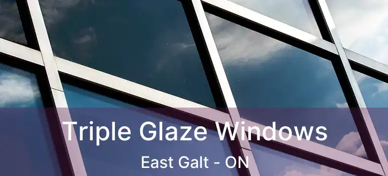  Triple Glaze Windows East Galt - ON