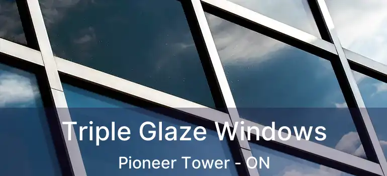  Triple Glaze Windows Pioneer Tower - ON