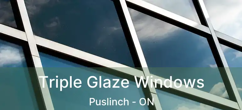  Triple Glaze Windows Puslinch - ON