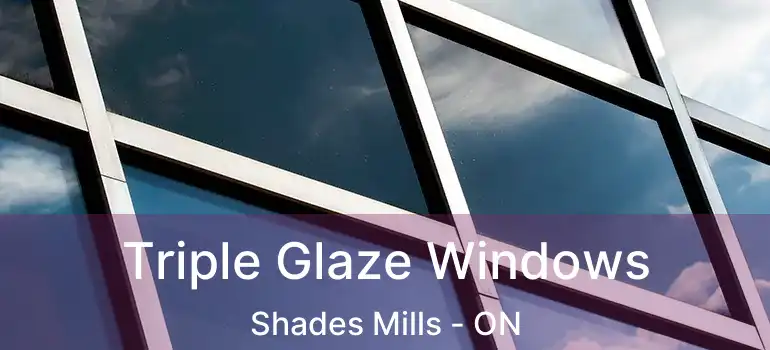  Triple Glaze Windows Shades Mills - ON