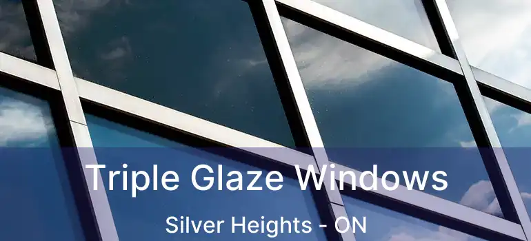  Triple Glaze Windows Silver Heights - ON