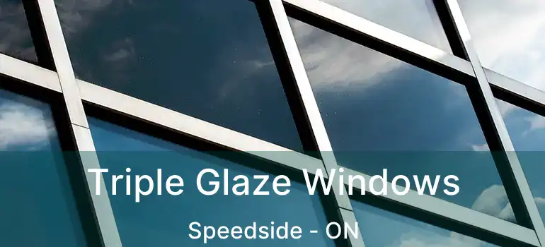 Triple Glaze Windows Speedside - ON