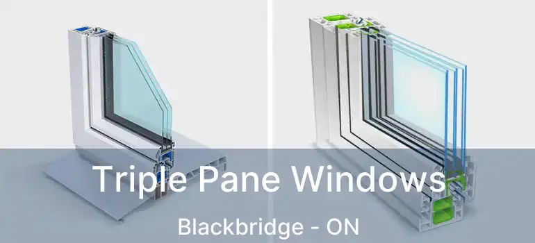  Triple Pane Windows Blackbridge - ON