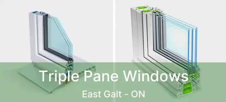  Triple Pane Windows East Galt - ON