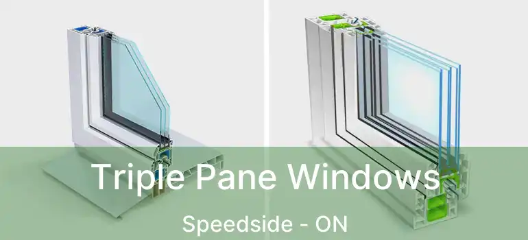  Triple Pane Windows Speedside - ON