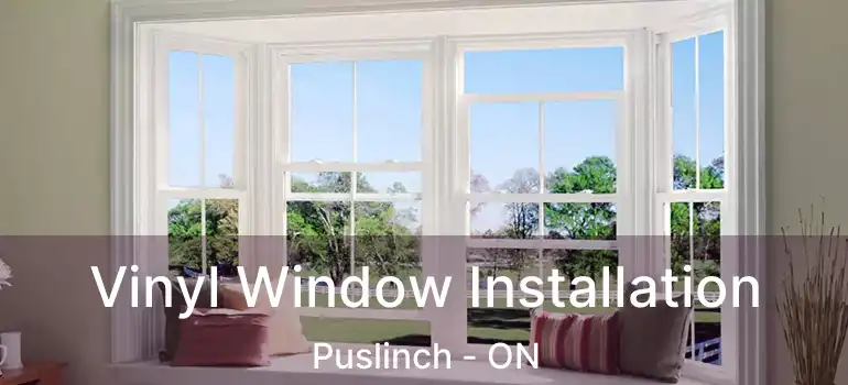 Vinyl Window Installation Puslinch - ON