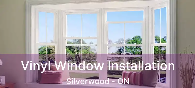  Vinyl Window Installation Silverwood - ON