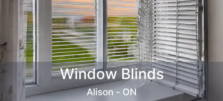  Window Blinds Alison - ON