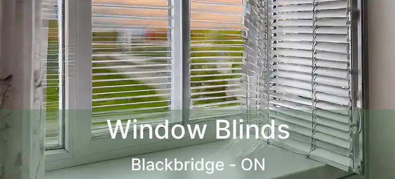  Window Blinds Blackbridge - ON