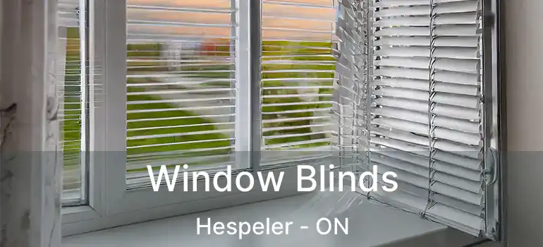  Window Blinds Hespeler - ON