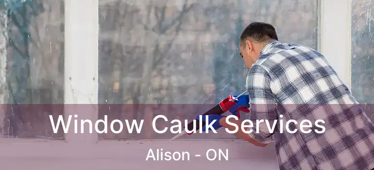  Window Caulk Services Alison - ON