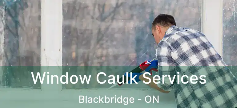  Window Caulk Services Blackbridge - ON