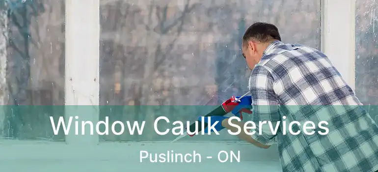  Window Caulk Services Puslinch - ON