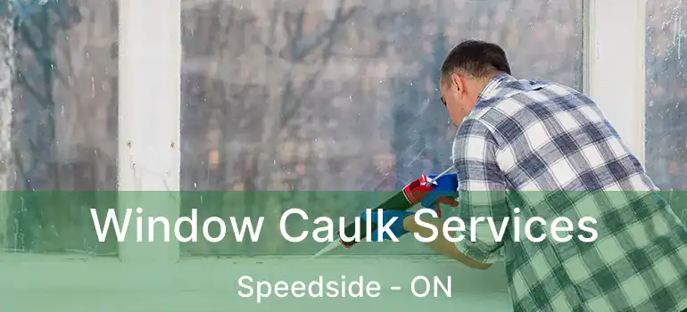  Window Caulk Services Speedside - ON